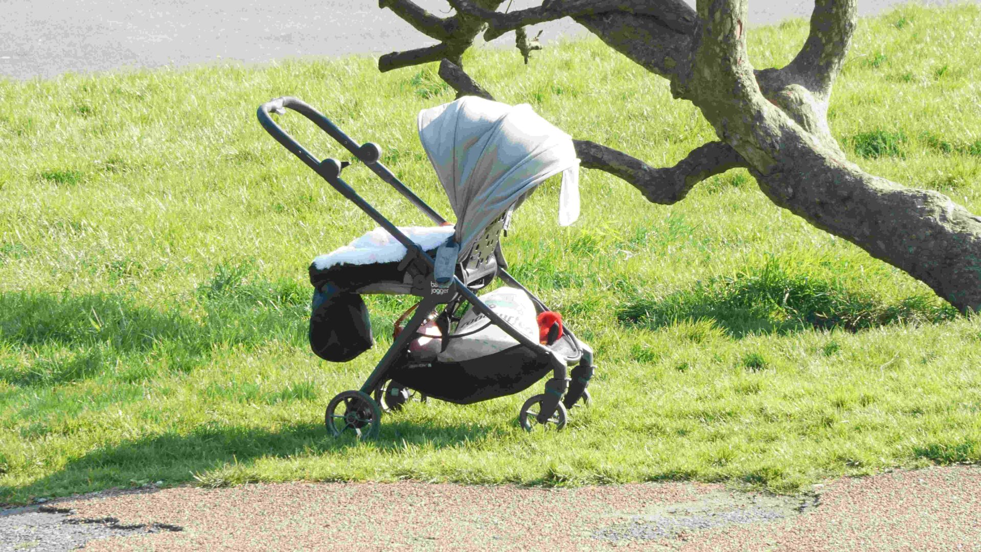 How to Keep Hiking as a Family on Easy Park Trails When Your Child Has Mobility Challenges
